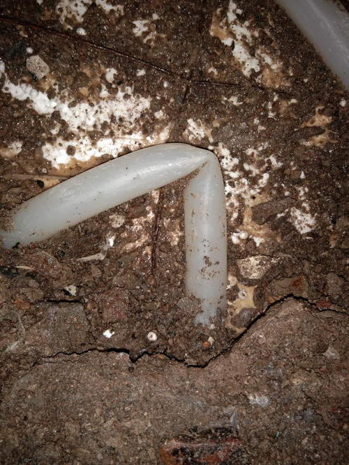 鄯善堵点精准查找